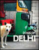 Dogs of Delhi: A photographic journey of must love metropolitan mutts
