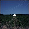 Beacon (비컨) - Escapements