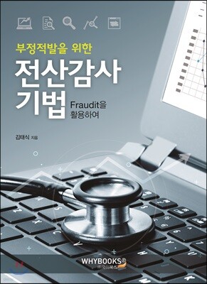 전산감사기법