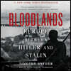 Bloodlands: Europe Between Hitler and Stalin