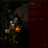 슈베르트 : 피아노와 바이올린 위한 작품집 Vol.2 (Schubert : Works for Violin & Piano Volume 2)(CD) - Thomas Albertus Irnberger