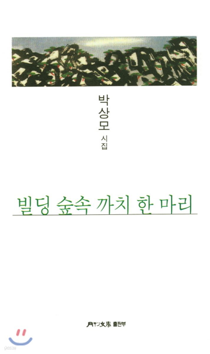 빌딩 숲속 까치 한 마리