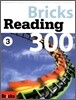 Bricks Reading 300 3