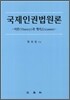 국제인권법원론