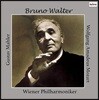 Bruno Walter 말러: 대지의 노래 / 모차르트: 교향곡 40번 (Mahler: Das Lied von der Erde / Mozart: Symphony No. 40) 브루노 발터, 빈 필하모닉 오케스트라 [2LP]