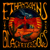 Ethan Johns With The Black Eyed Dogs - Anamnesis (2LP)
