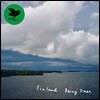 Finland (핀란드) - Rainy Omen [LP]