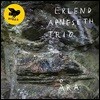 Erlend Apneseth Trio - Ara [LP]