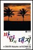바람의 대지 35