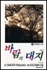 바람의 대지 38