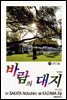 바람의 대지 41