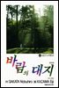 바람의 대지 43