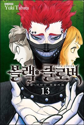 블랙 클로버 13권