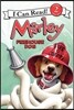 Marley: Firehouse Dog