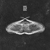 셔츠 보이 프랭크 (Shirts Boy Frank) - 아무도 모르게 피어난 (Blooms)