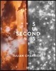Julian Charrière: Second Suns