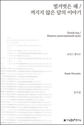 벌거벗은 해 / 꺼지지 않은 달의 이야기 - 지식을만드는지식 소설선집