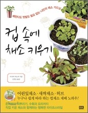 컵 속에 채소 키우기