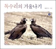 독수리의 겨울나기