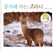 강가에 사는 고라니