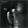 Anders Jormin - Ad Lucem