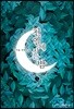 천일에 지는 밤 1