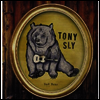 Tony Sly - Sad Bear (LP)