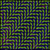 Animal Collective - Merriweather Post Pavilion (2LP)