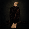 Clutch - Book Of Bad Decisions (2LP)