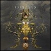 Joep Beving 윱 베빙: 코나투스 (Conatus) [2LP]