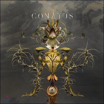 Joep Beving 윱 베빙: 코나투스 (Conatus)
