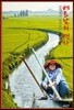 베트남의 역사