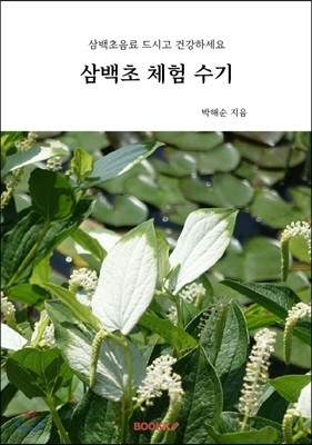 삼백초 체험 수기