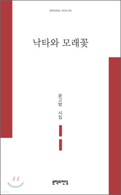 낙타와 모래꽃