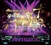 짜릿한 쾌감을 선사하는 홍대 EDM 클럽댄스 BEST