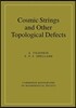 Cosmic Strings and Other Topological Defects