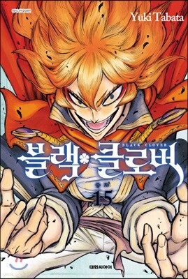 블랙 클로버 15