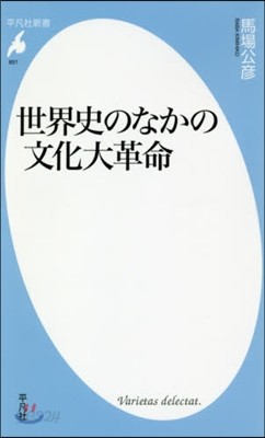 世界史のなかの文化大革命