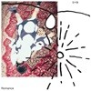 김사월 2집 - 로맨스