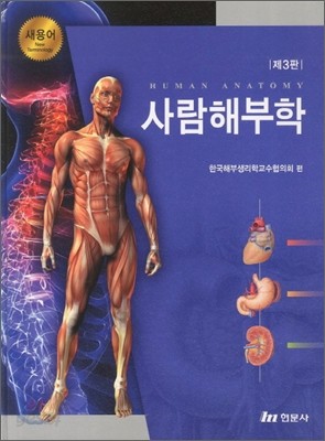 새용어 사람해부학