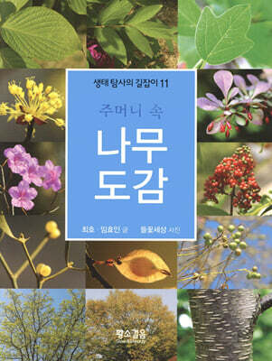 주머니 속 나무 도감