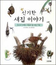 신기한 새집 이야기