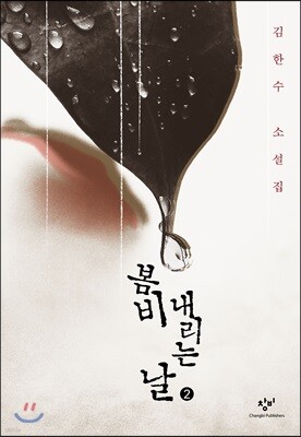 봄비 내리는 날 2 (큰글자도서)