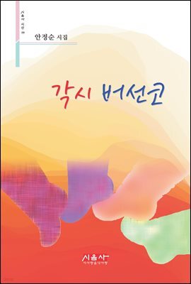 각시 버선코 - 시음사 시선 208