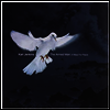 칼 젠킨스: 평화를 위한 미사 (Karl Jenkins: The Armed Man - A Mass for Peace) (180G)(2LP) - Duncan Riddell