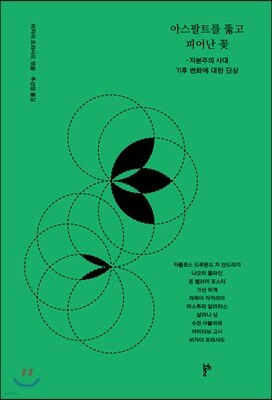 아스팔트를 뚫고 피어난 꽃