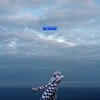 Colde (콜드) - 미니앨범 1집 : Wave