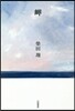 岬