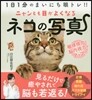 ニャンとも目がよくなるネコの寫眞