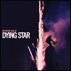 Ruston Kelly (러스톤 켈리) - Dying Star